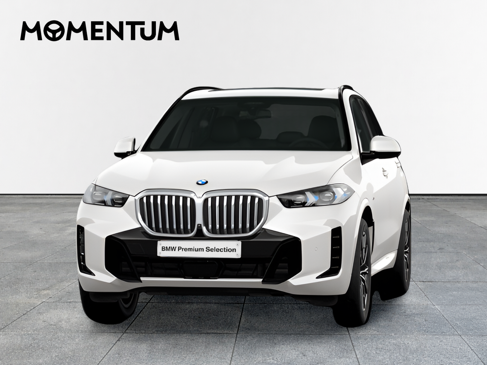 BMW X5 xDrive30d xLine 219 kW (298 CV)