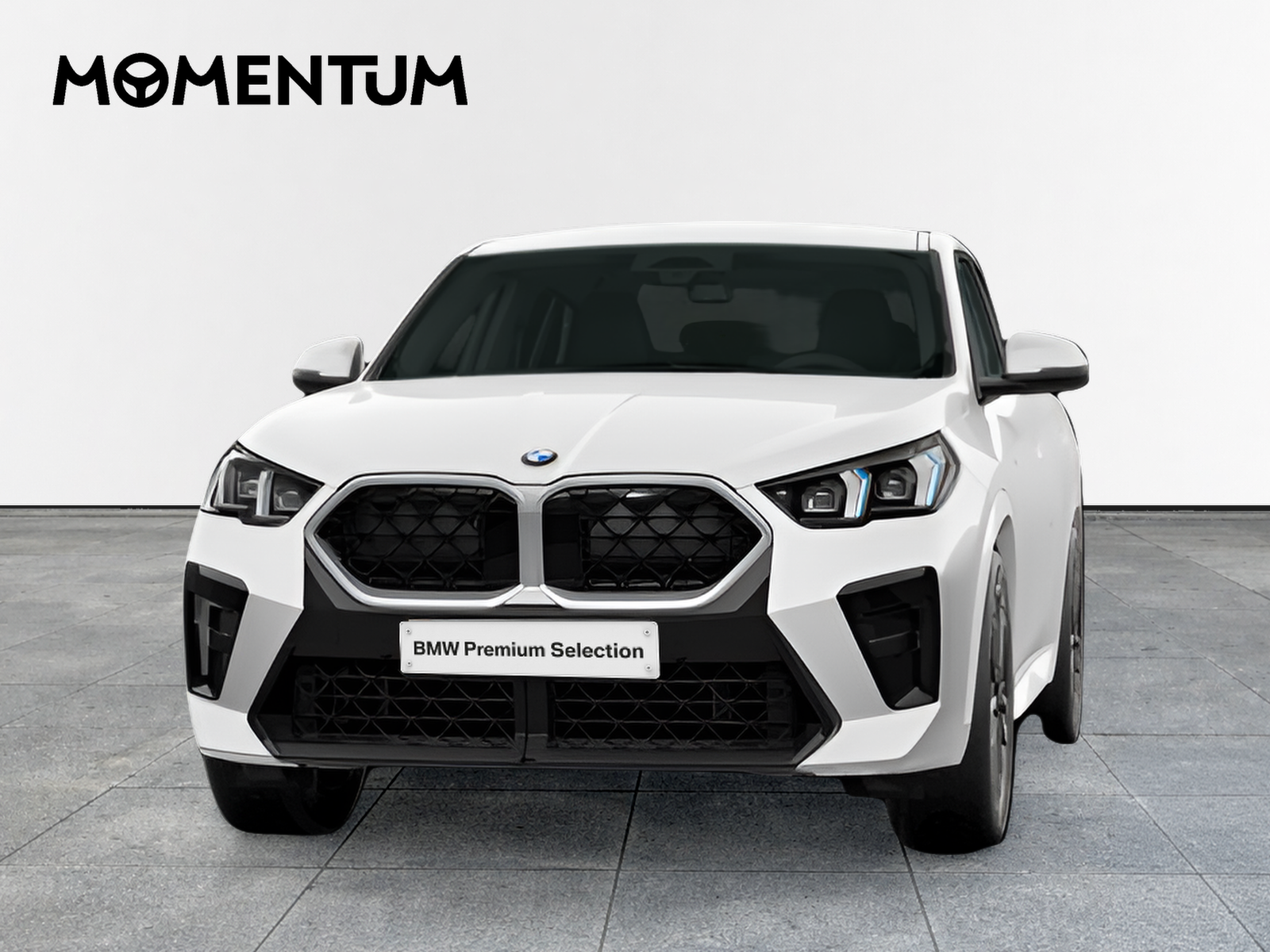 BMW X2 sDrive20d 120 kW (163 CV)