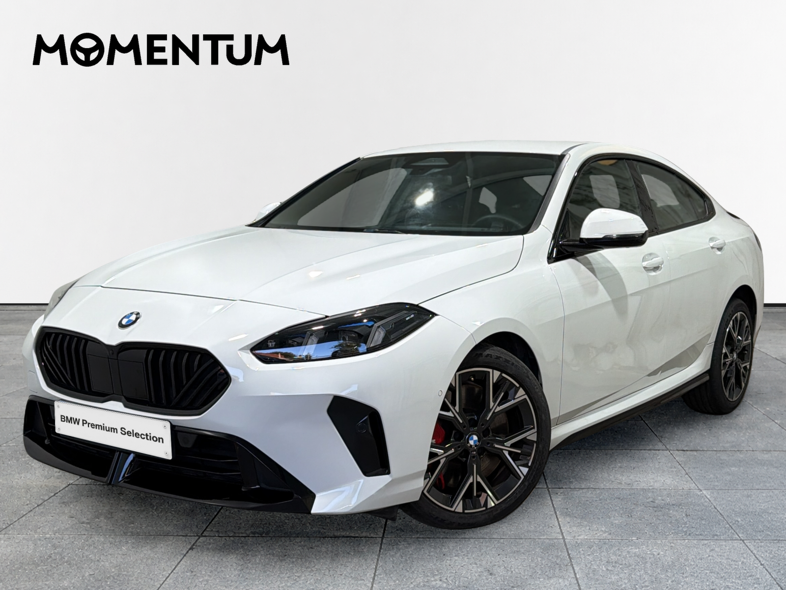 BMW Serie 2 220 Gran Coupe 125 kW (170 CV)