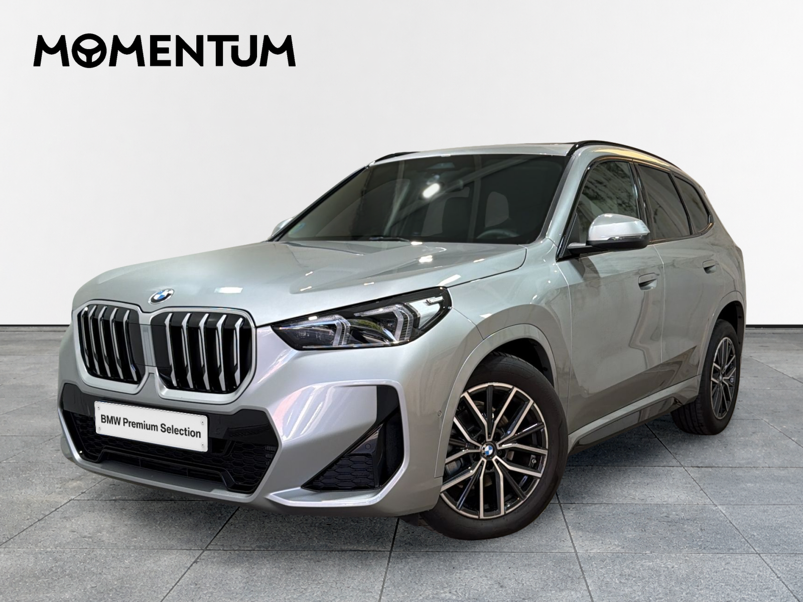 BMW X1 sDrive20d 120 kW (163 CV)