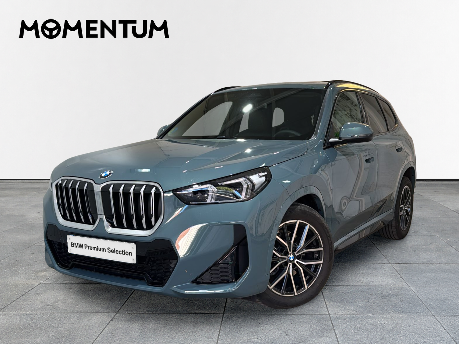 BMW X1 sDrive20d 120 kW (163 CV)