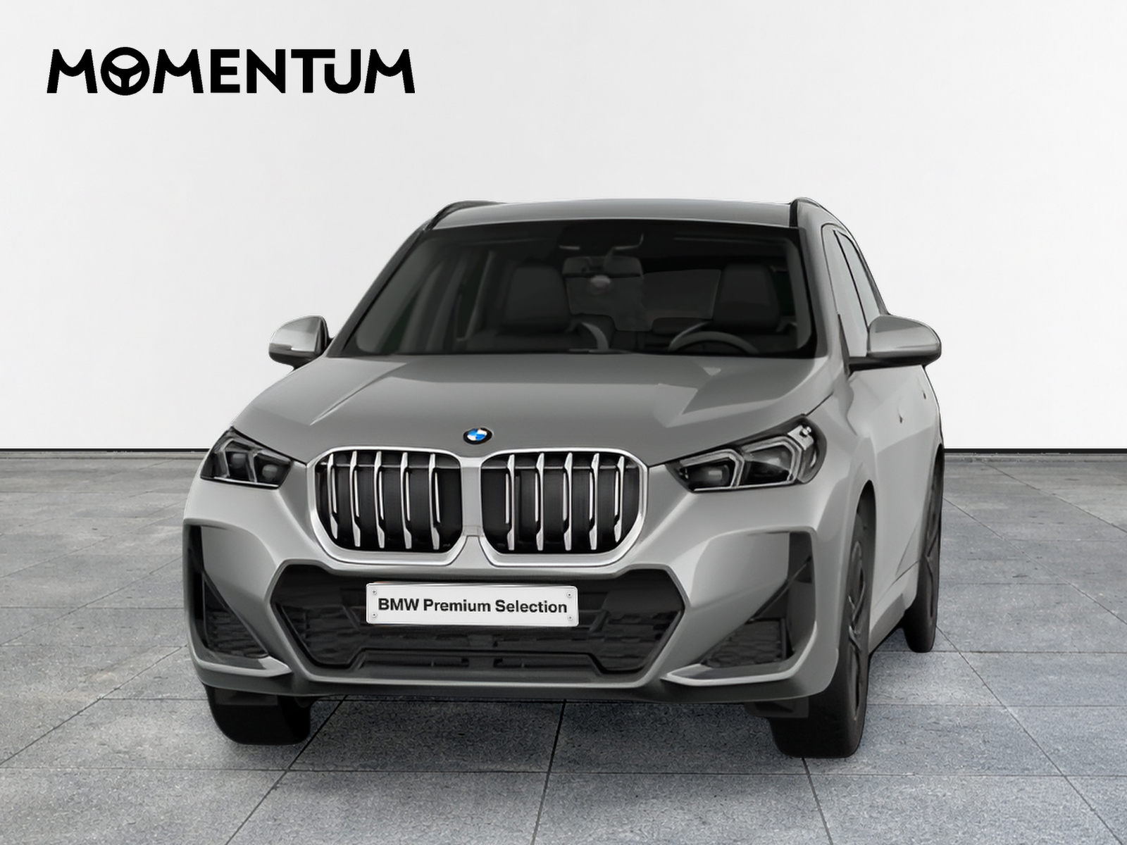 BMW X1 sDrive20d 120 kW (163 CV)