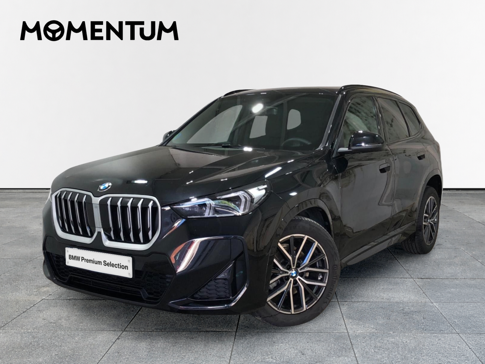 BMW X1 sDrive20d 120 kW (163 CV)