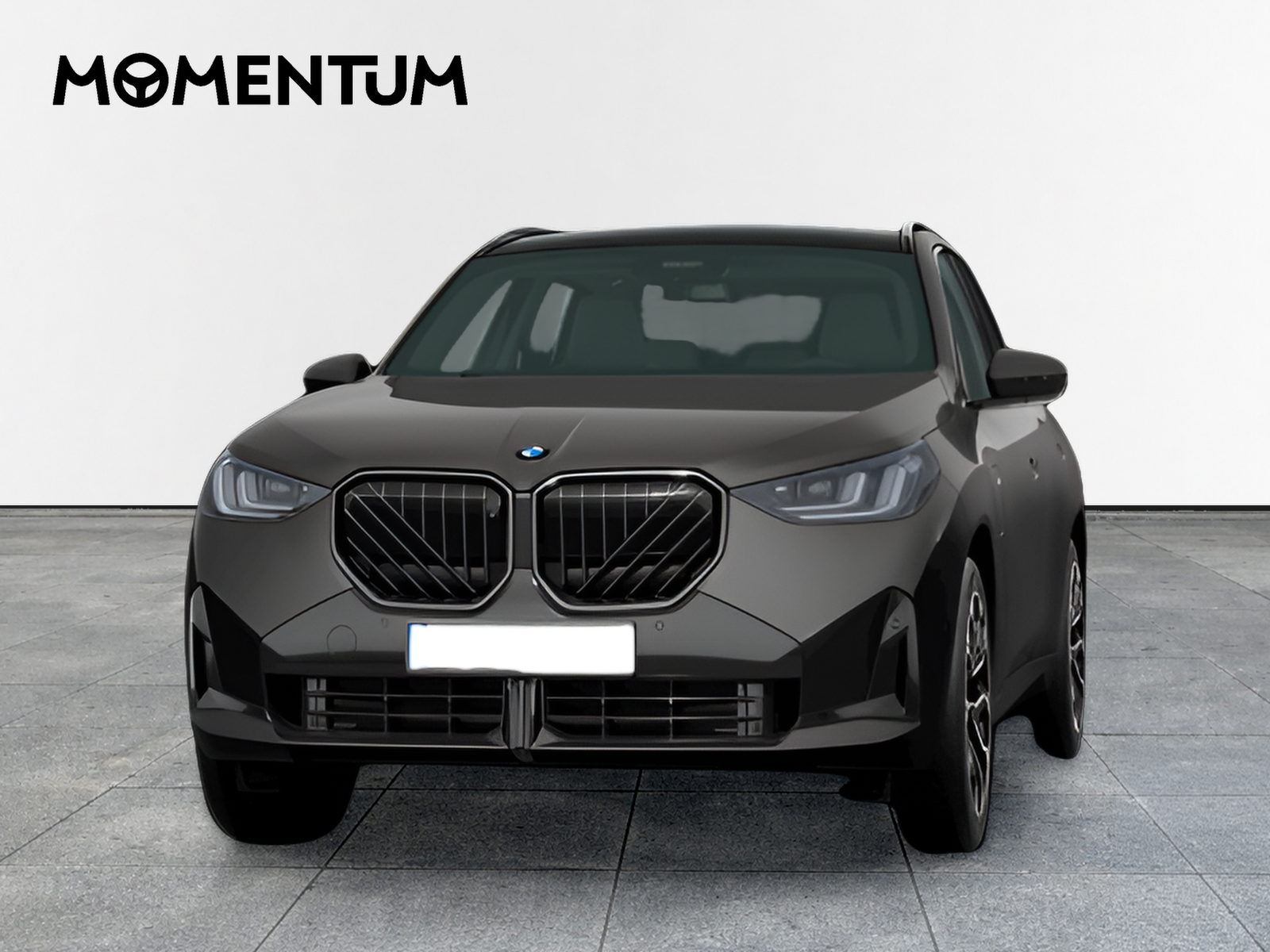 BMW X3 xDrive30e 220 kW (299 CV)