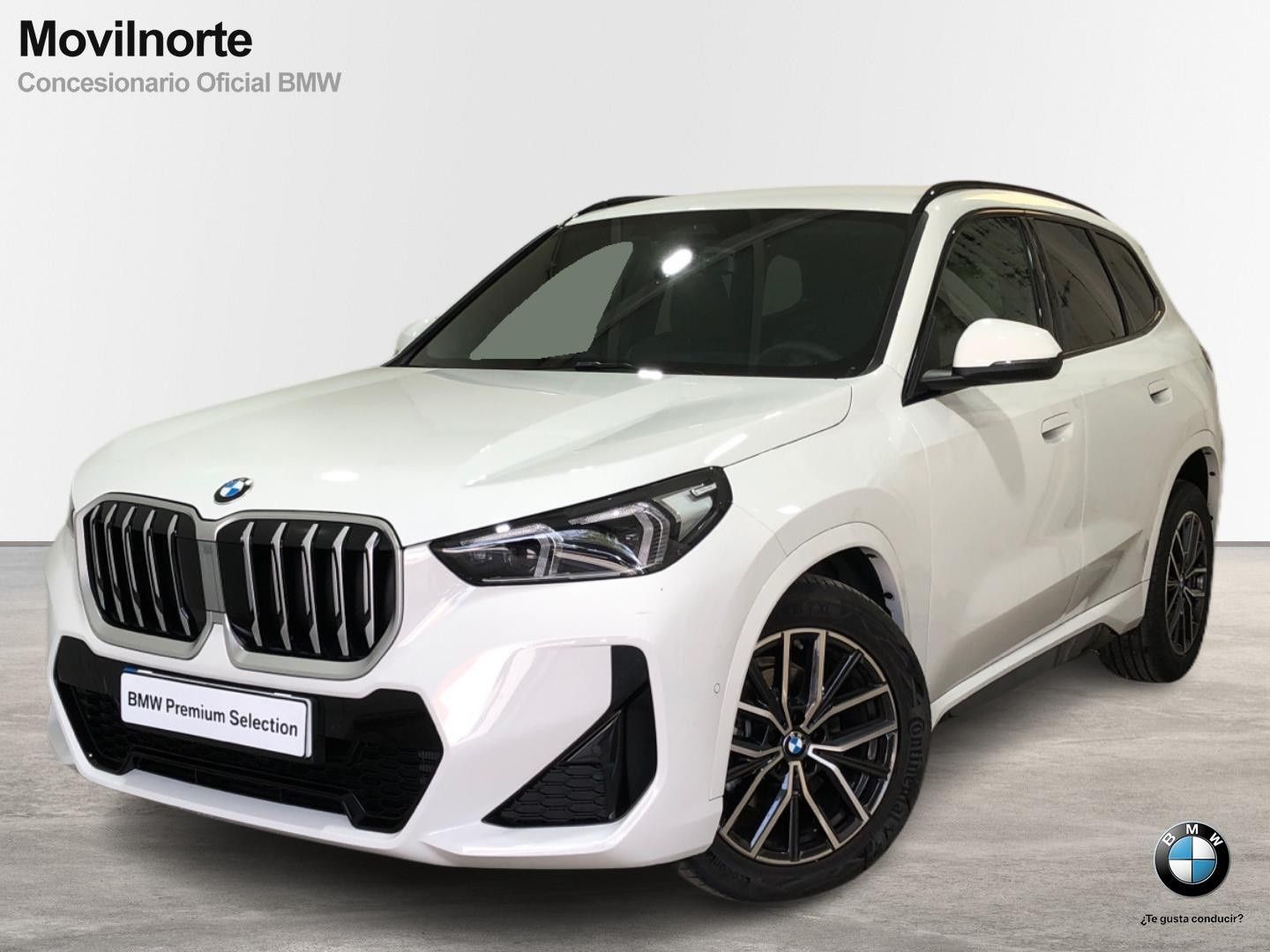 BMW X1 sDrive20d 120 kW (163 CV)