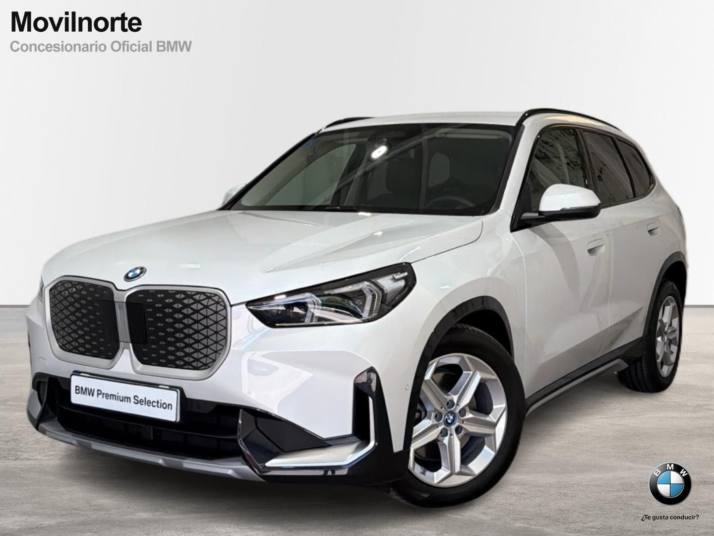 BMW iX1 xDrive30 230 kW (313 CV)
