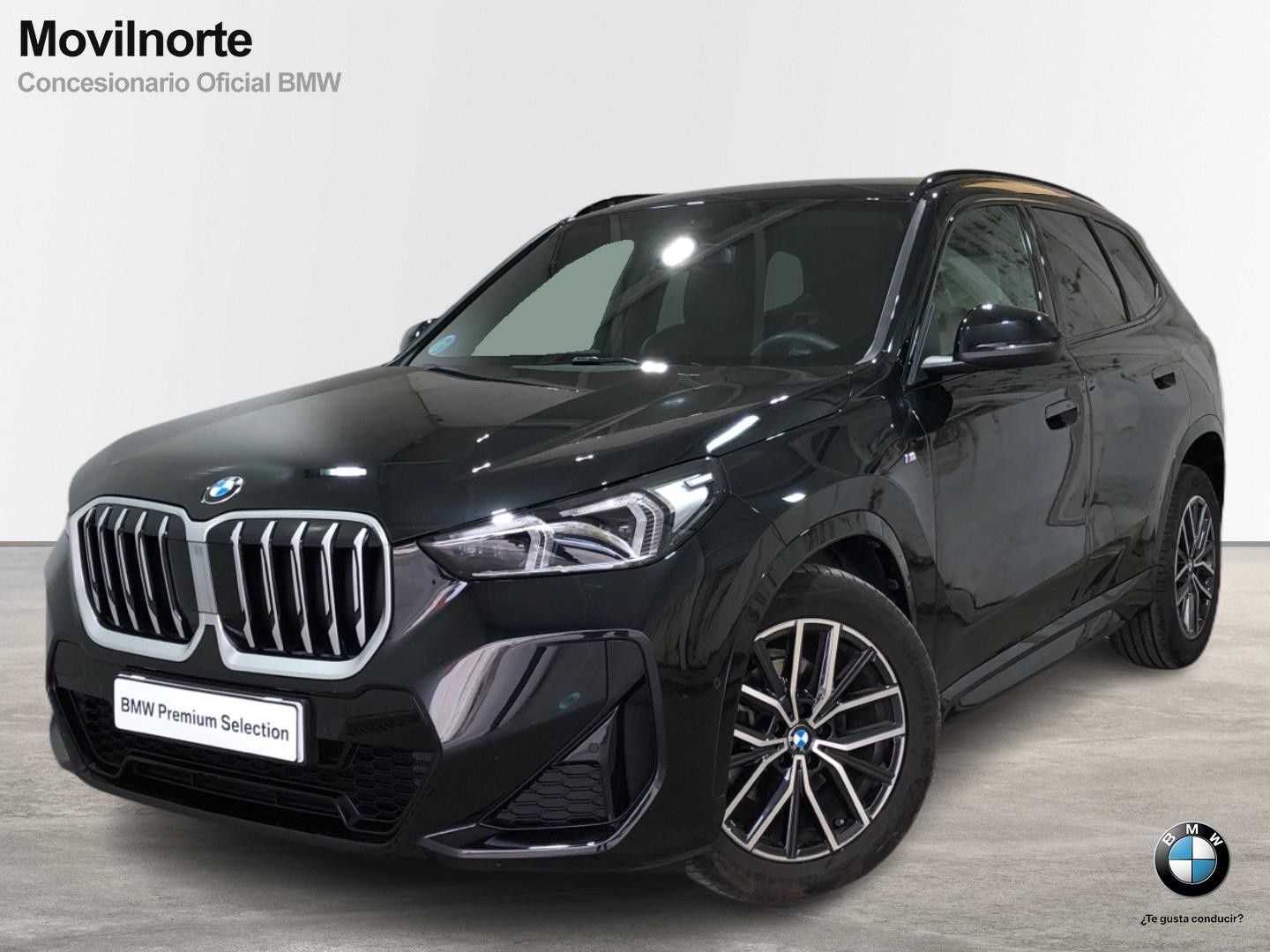 BMW X1 sDrive20d 120 kW (163 CV)