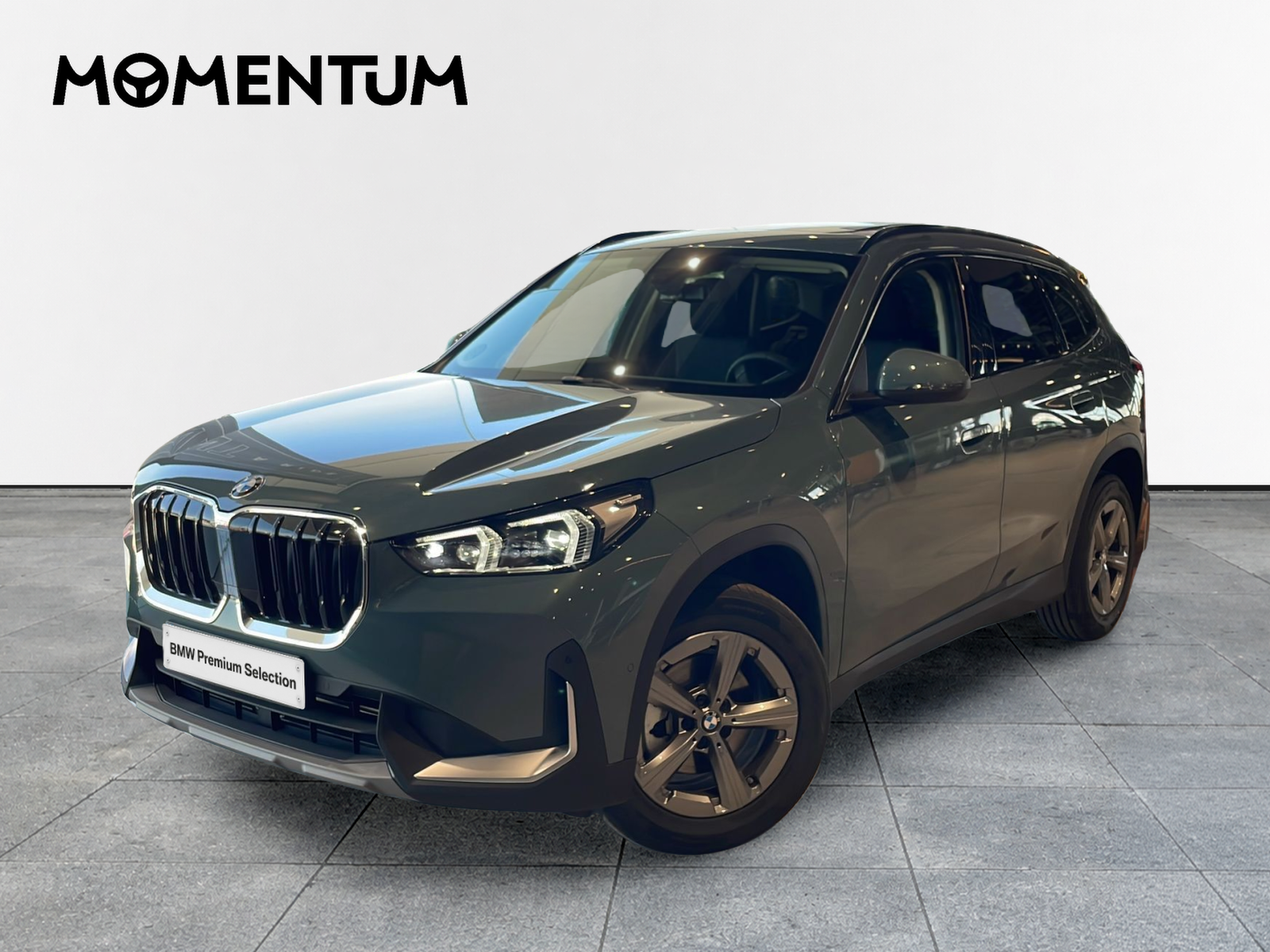 BMW X1 xDrive20d 120 kW (163 CV)