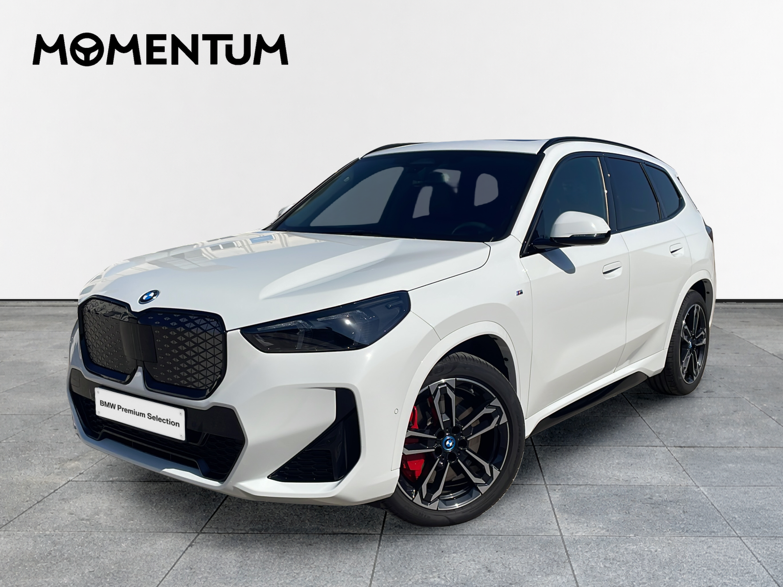 BMW iX1 eDrive20 150 kW (204 CV)