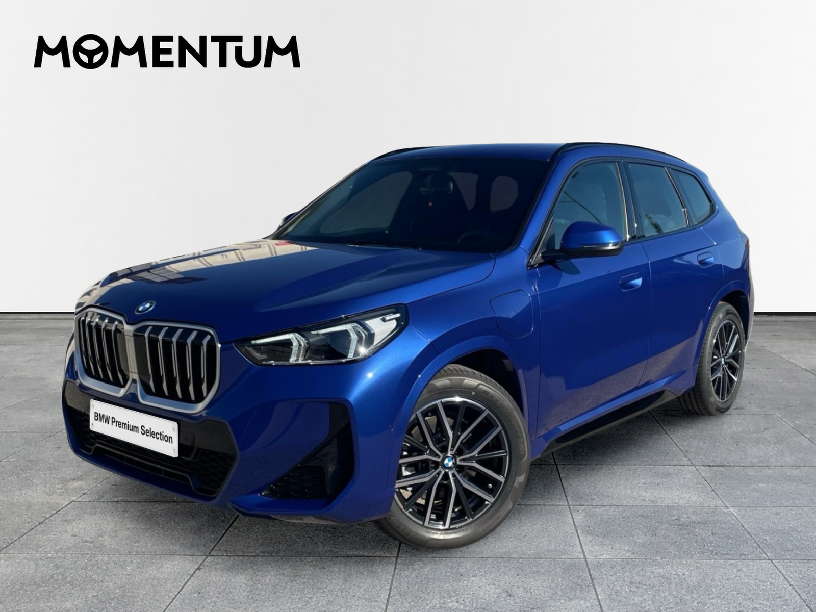 BMW X1 xDrive25e 180 kW (245 CV)