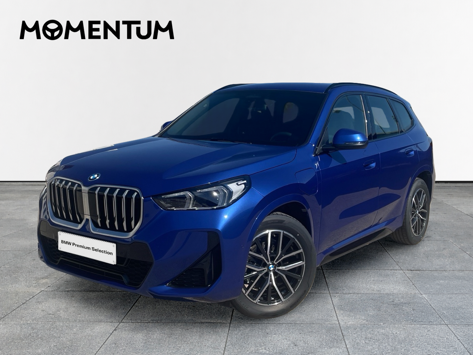 BMW X1 xDrive25e 180 kW (245 CV)