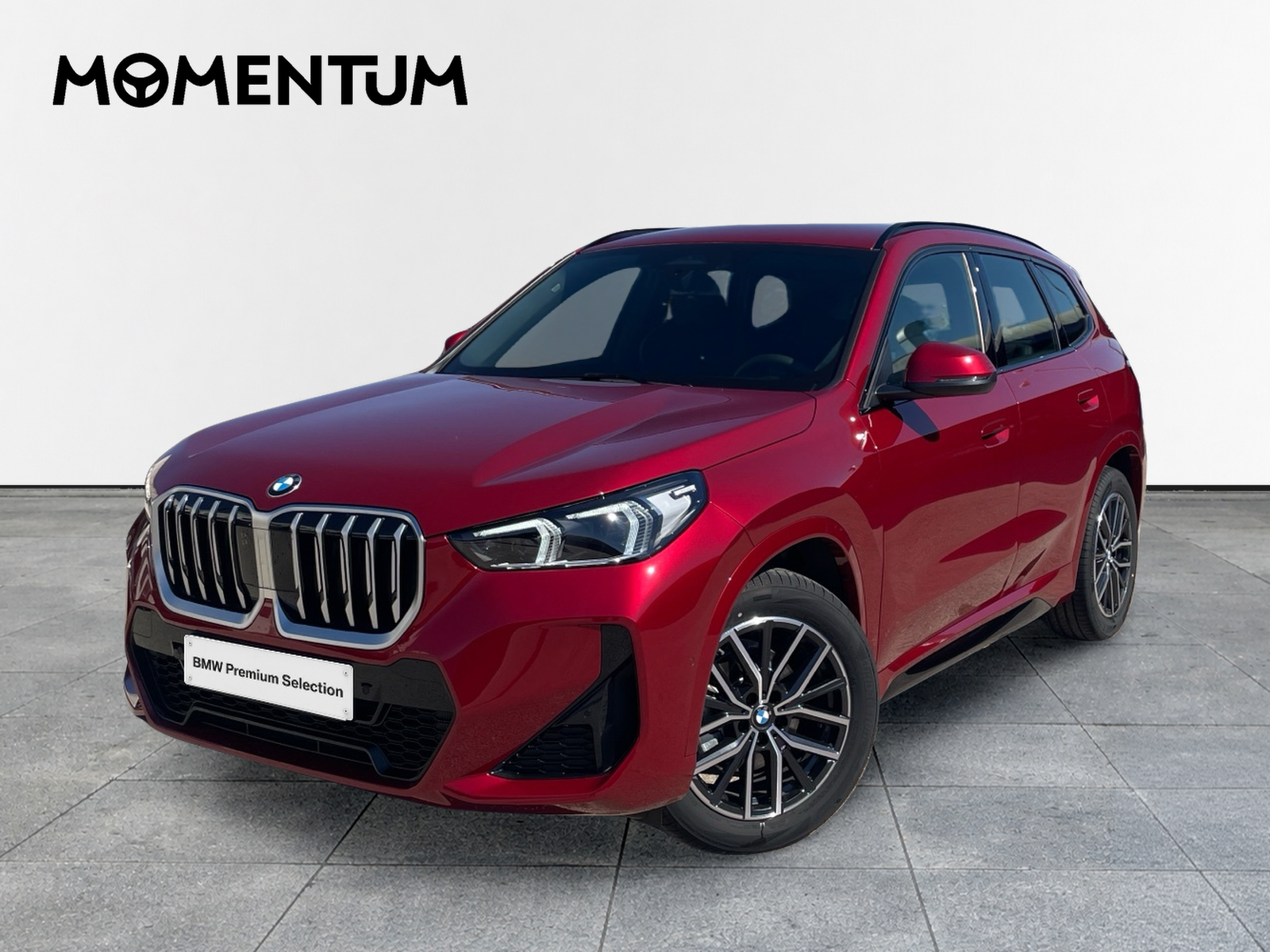 BMW X1 sDrive20d 120 kW (163 CV)