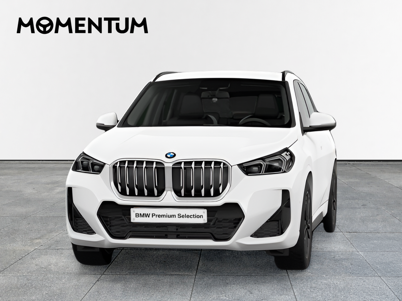 BMW X1 sDrive20d 120 kW (163 CV)