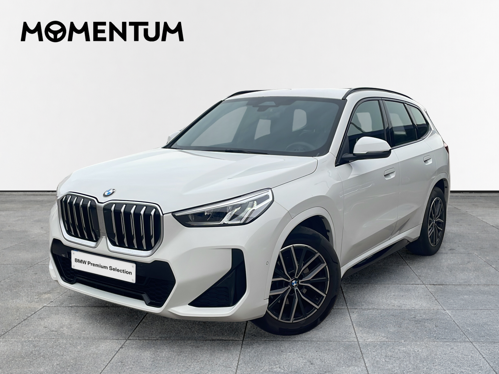 BMW X1 sDrive20d 120 kW (163 CV)