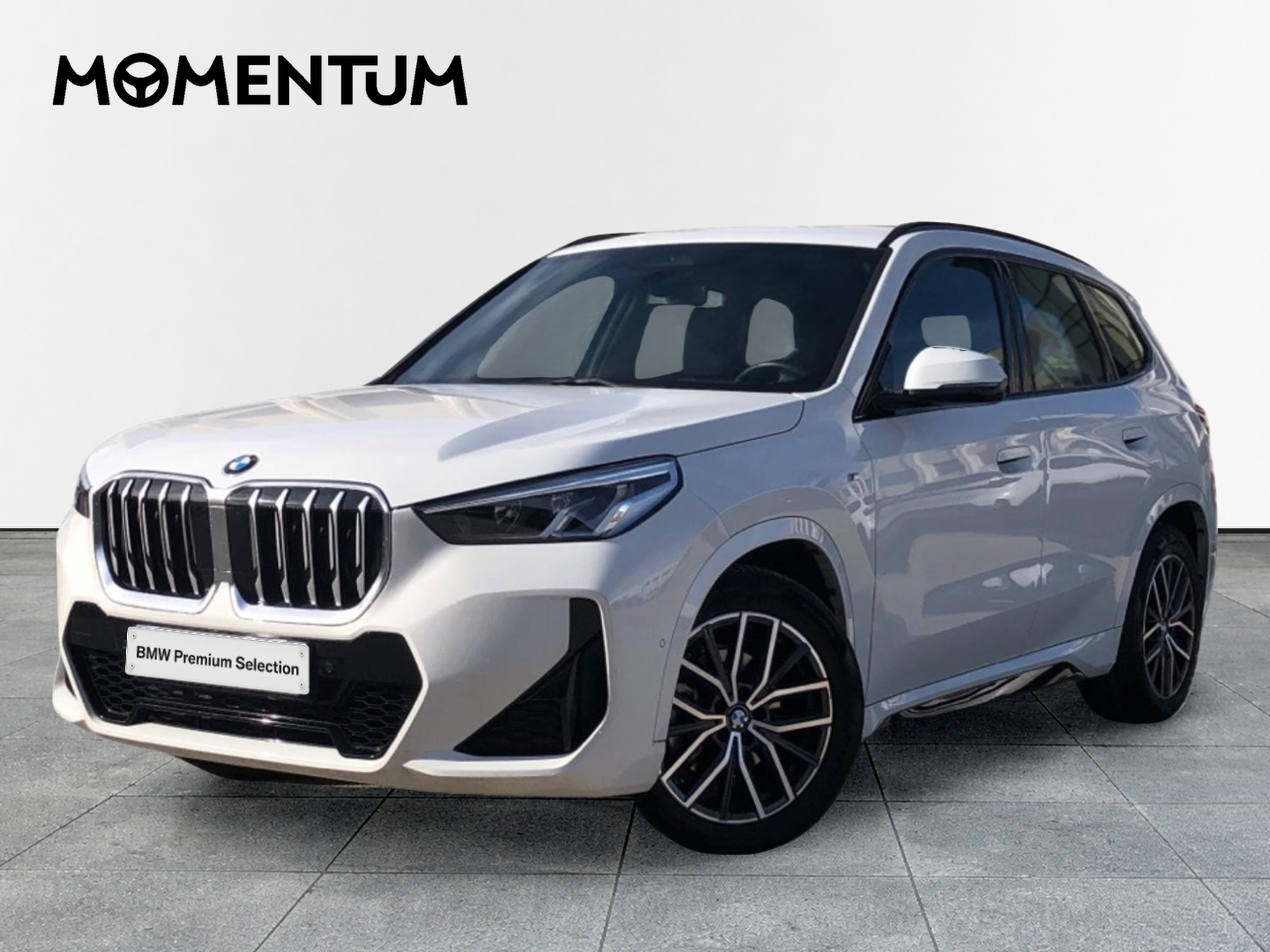 BMW X1 sDrive20d 120 kW (163 CV)