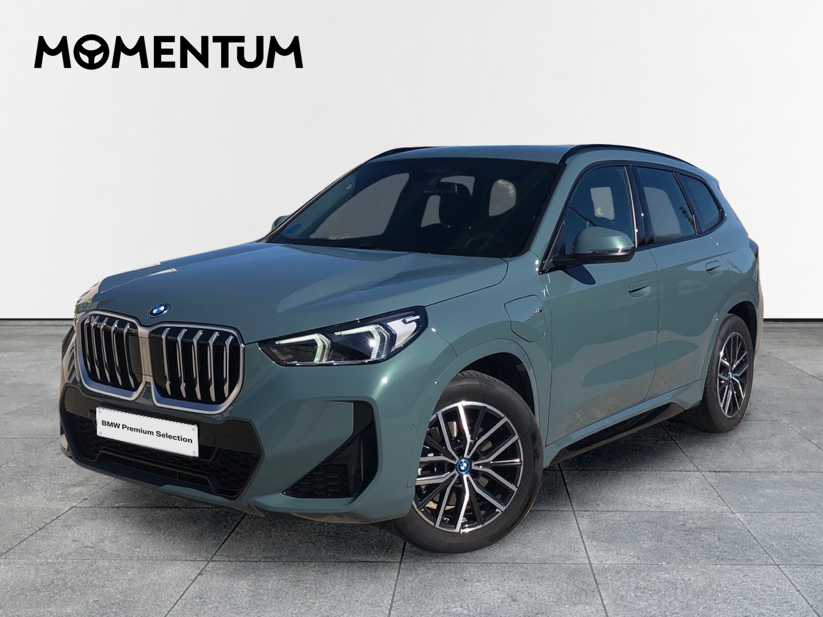 BMW X1 xDrive25e 180 kW (245 CV)
