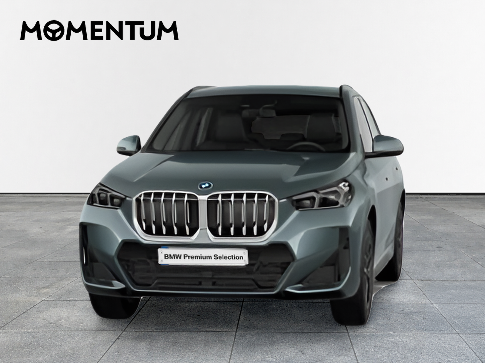 BMW X1 xDrive25e 180 kW (245 CV)