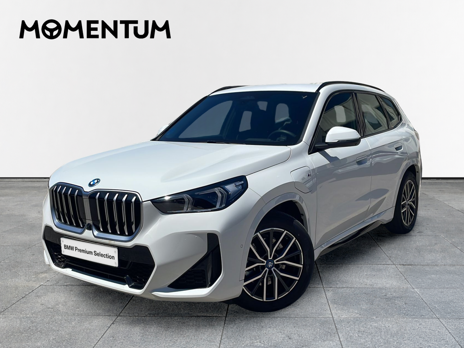 BMW X1 xDrive25e 180 kW (245 CV)