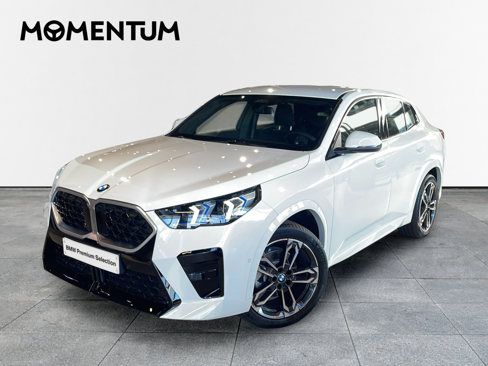 BMW X2 sDrive20d 120 kW (163 CV)