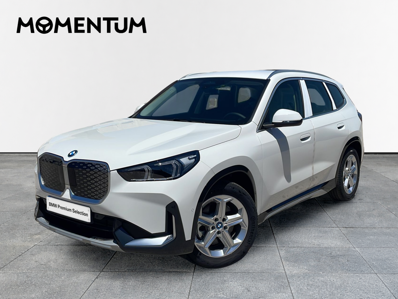 BMW iX1 xDrive30 230 kW (313 CV)