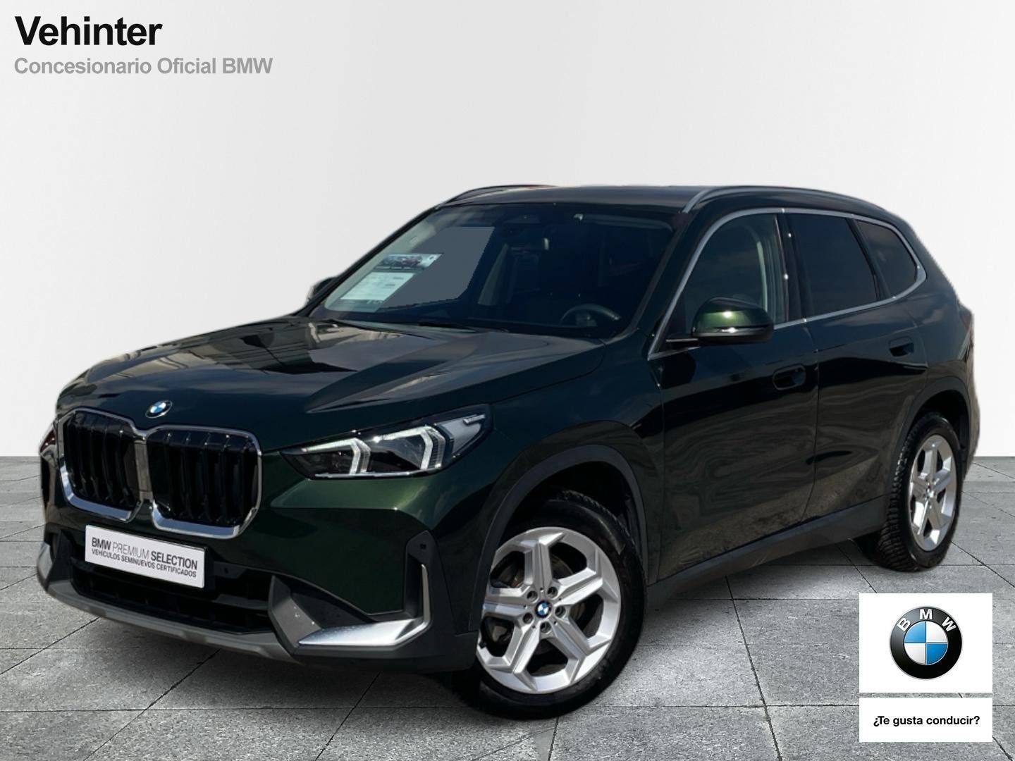 BMW X1 xDrive20d 120 kW (163 CV)