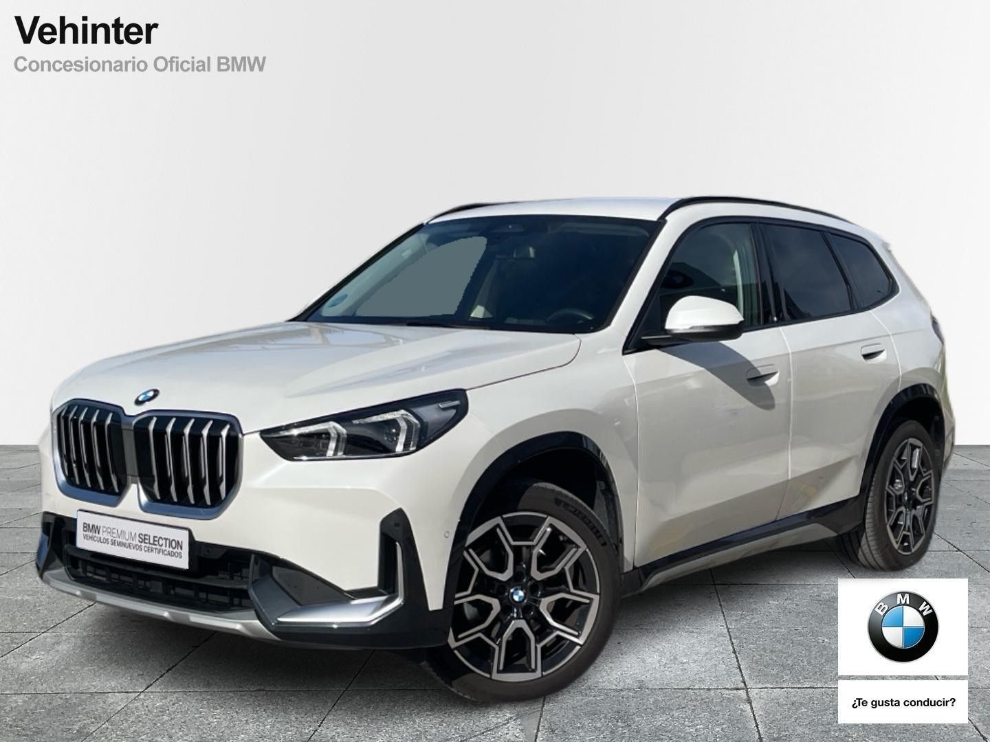 BMW X1 sDrive20d 120 kW (163 CV)