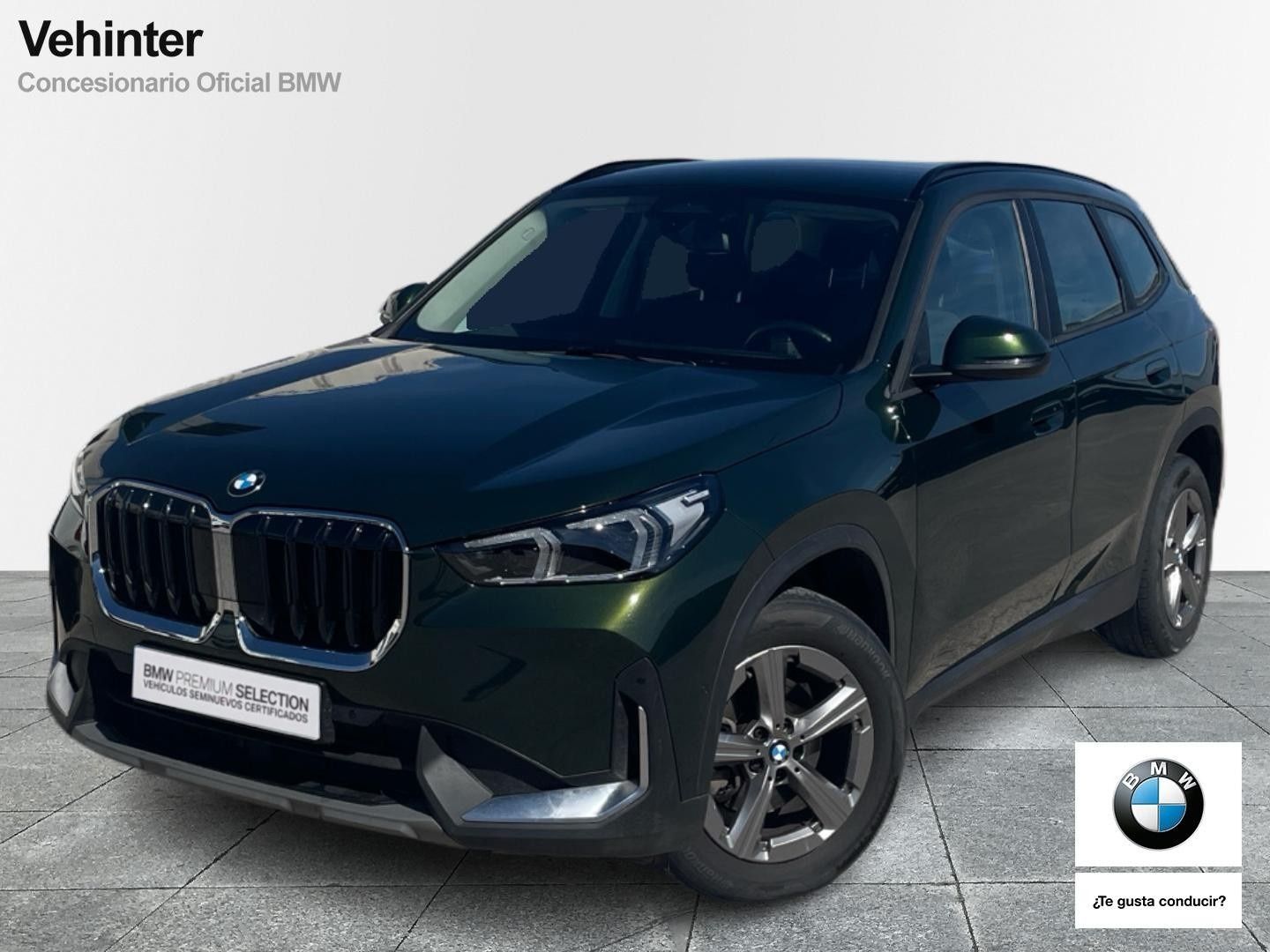 BMW X1 xDrive20d 120 kW (163 CV)