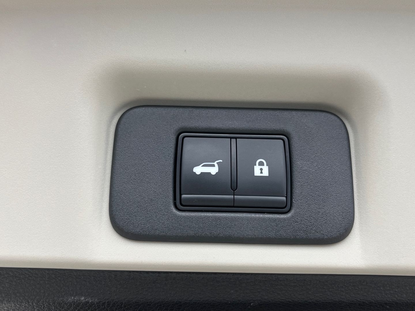 Imatge del vehicle 31