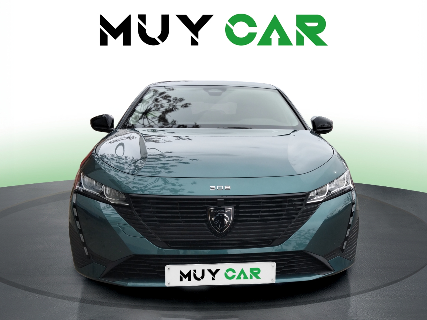 Imagen Peugeot 308 SW