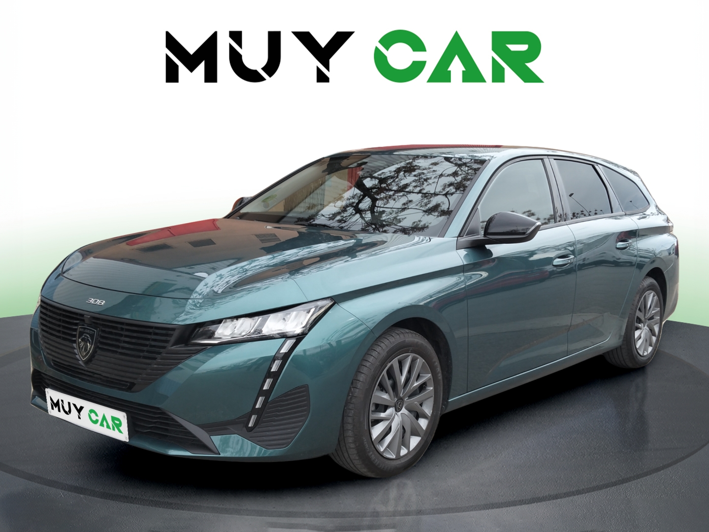 Imagen Peugeot 308 SW