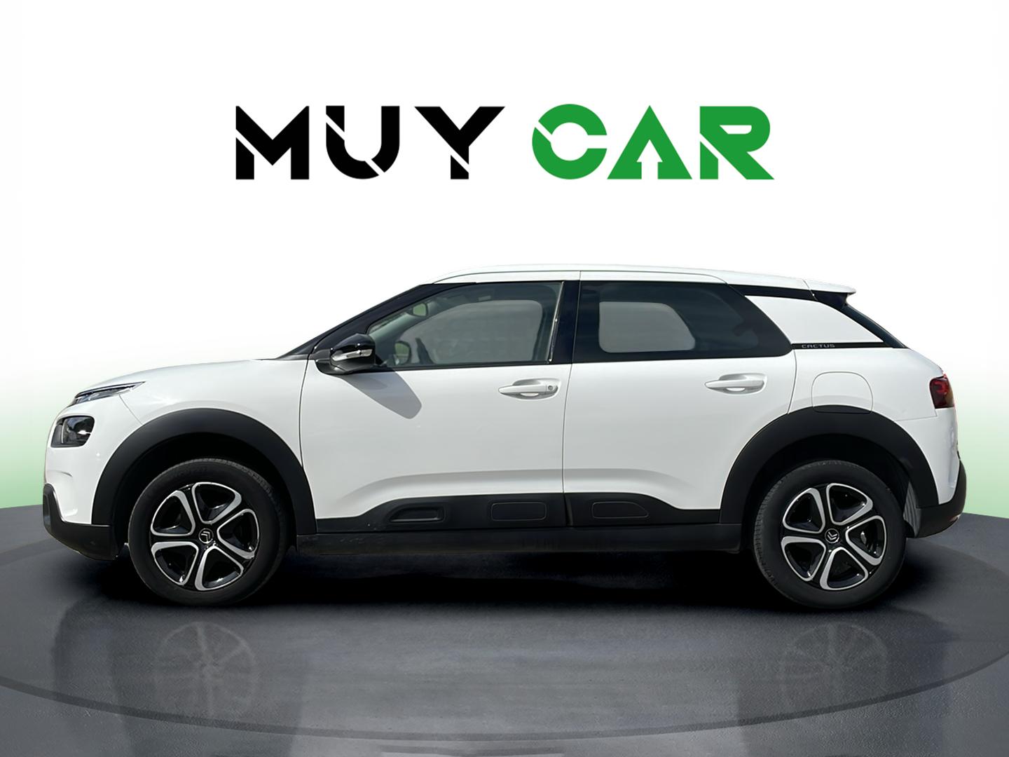 Imagen Citroen C4 Cactus