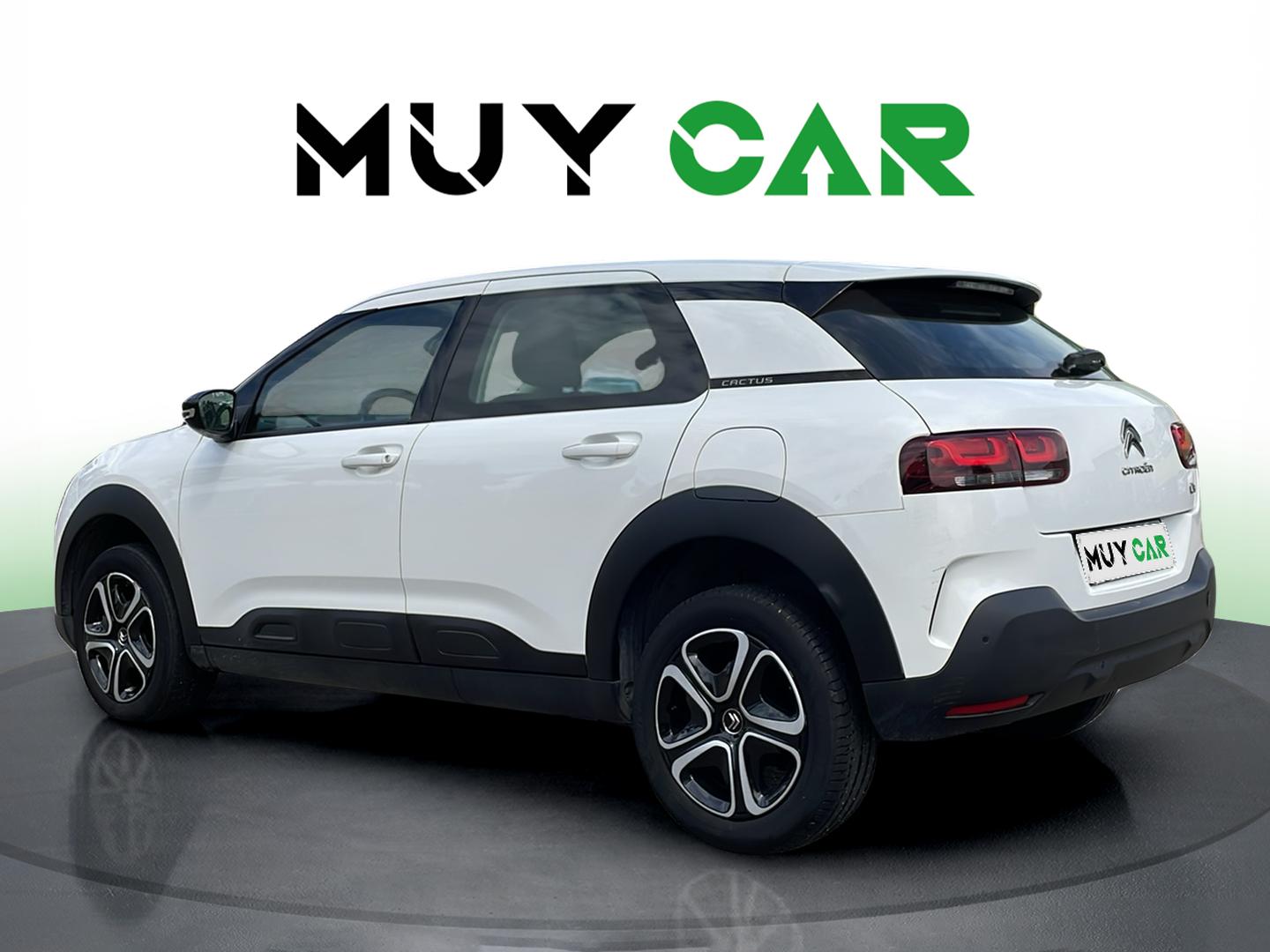 Imagen Citroen C4 Cactus