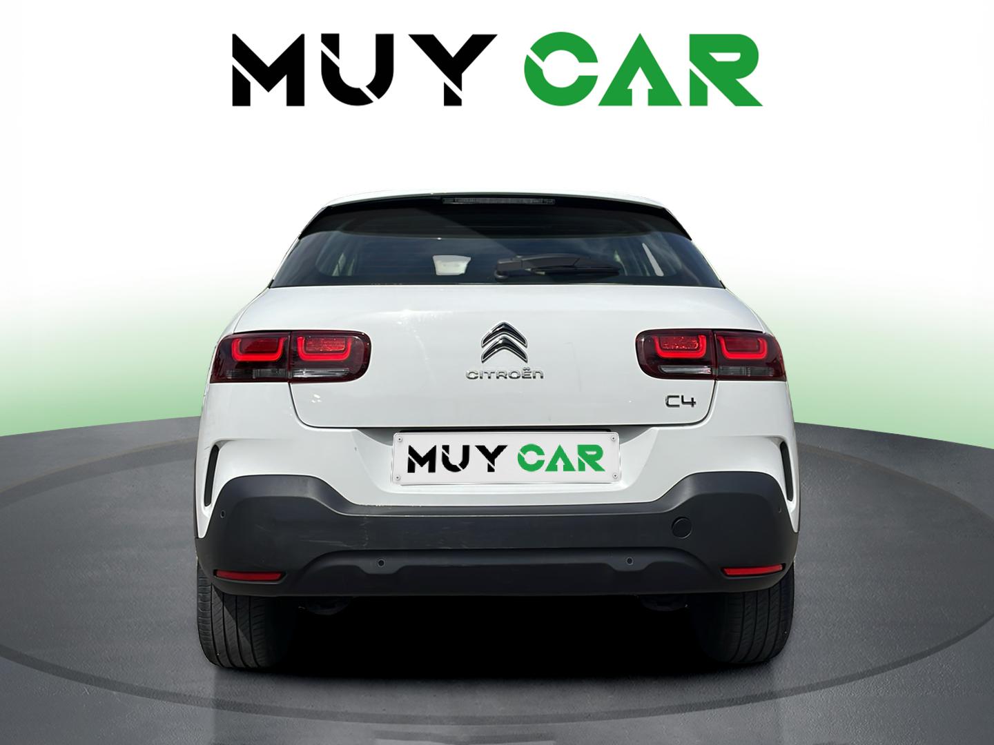 Imagen Citroen C4 Cactus