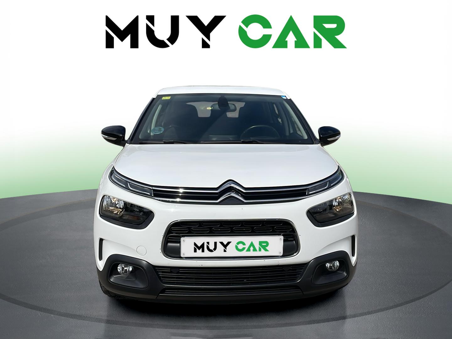 Imagen Citroen C4 Cactus
