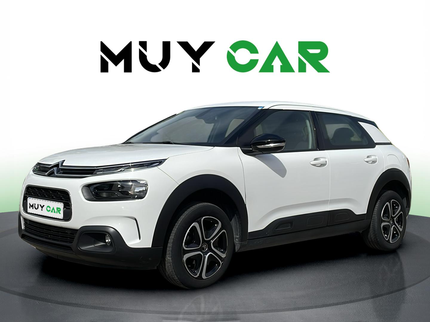 Imagen Citroen C4 Cactus