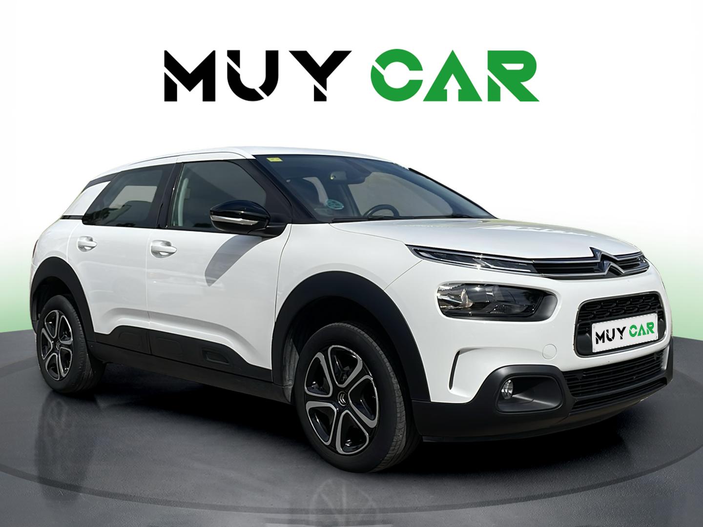 Imagen Citroen C4 Cactus
