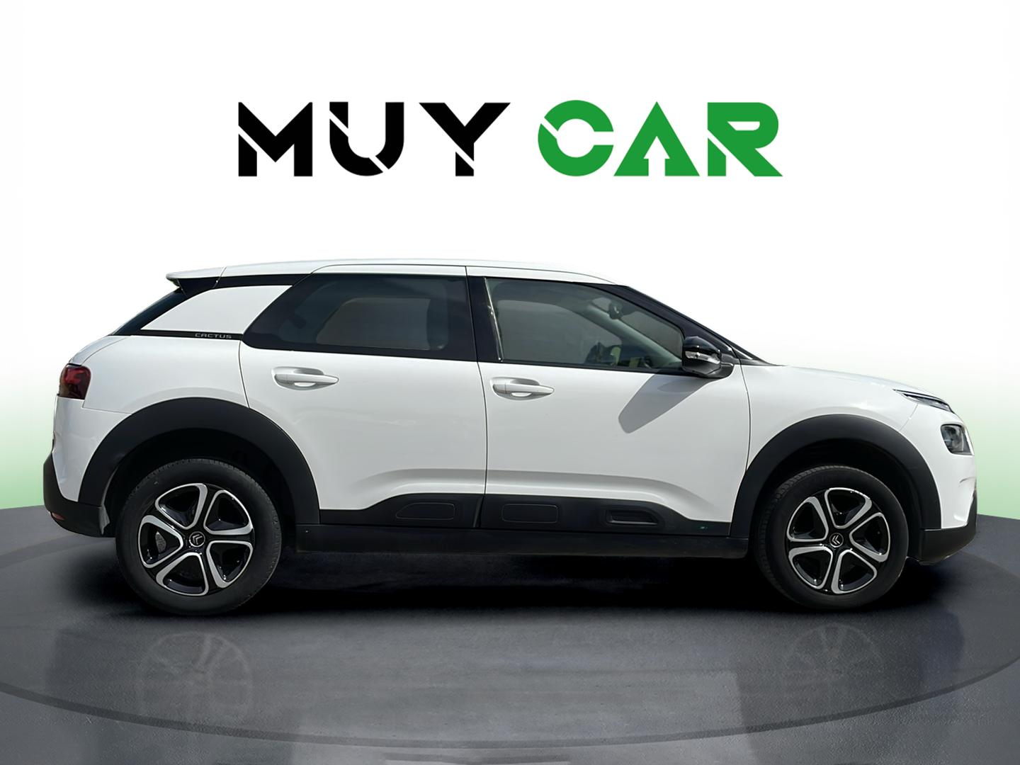 Imagen Citroen C4 Cactus