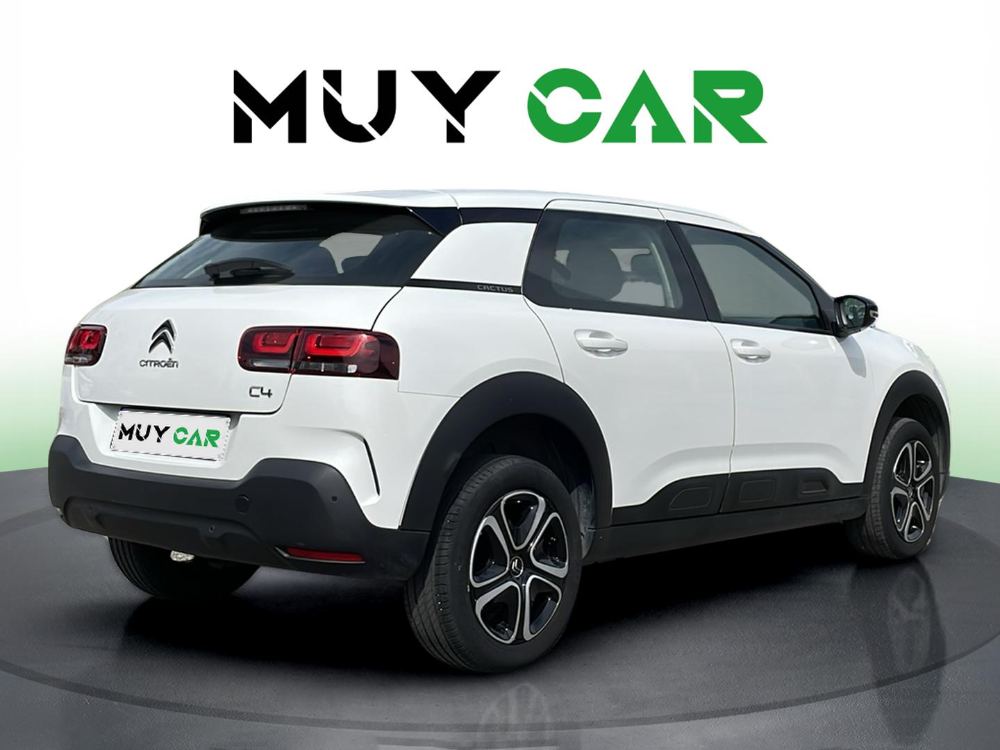 Imagen Citroen C4 Cactus