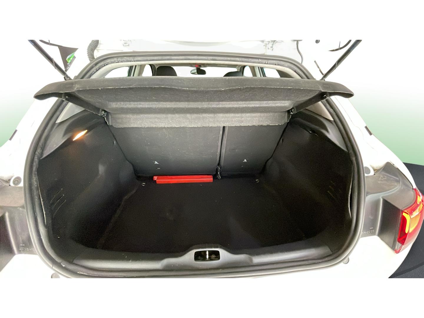 Imagen Citroen C4 Cactus