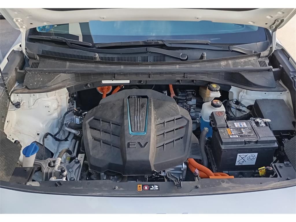 Foto 18 Kia e-Niro Concept 100 kW (136 CV)