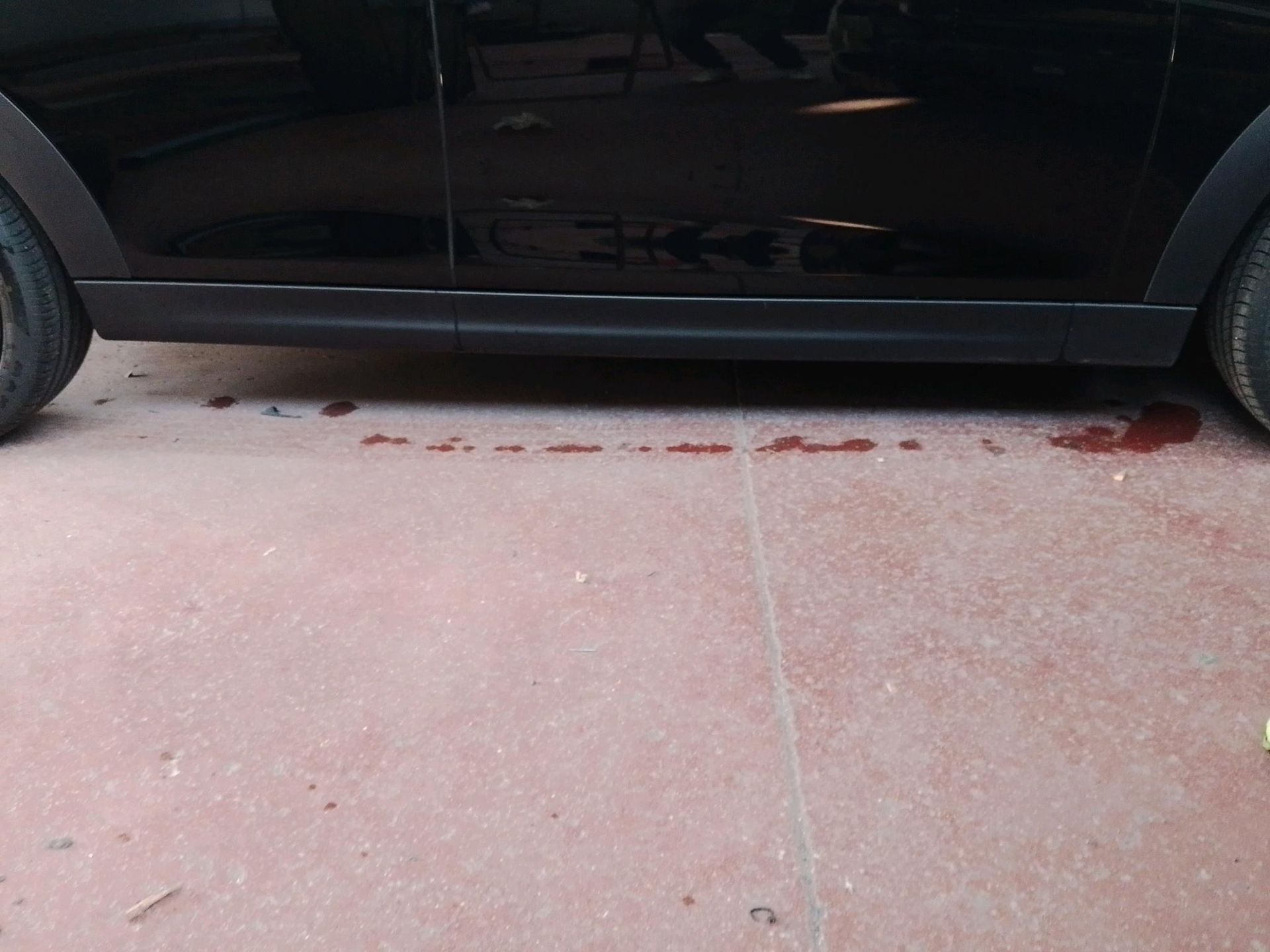 fotoG 16 del MINI MINI Cooper 5 Puertas C 115 kW (156 CV) 156cv Gasolina del 2025 en Madrid