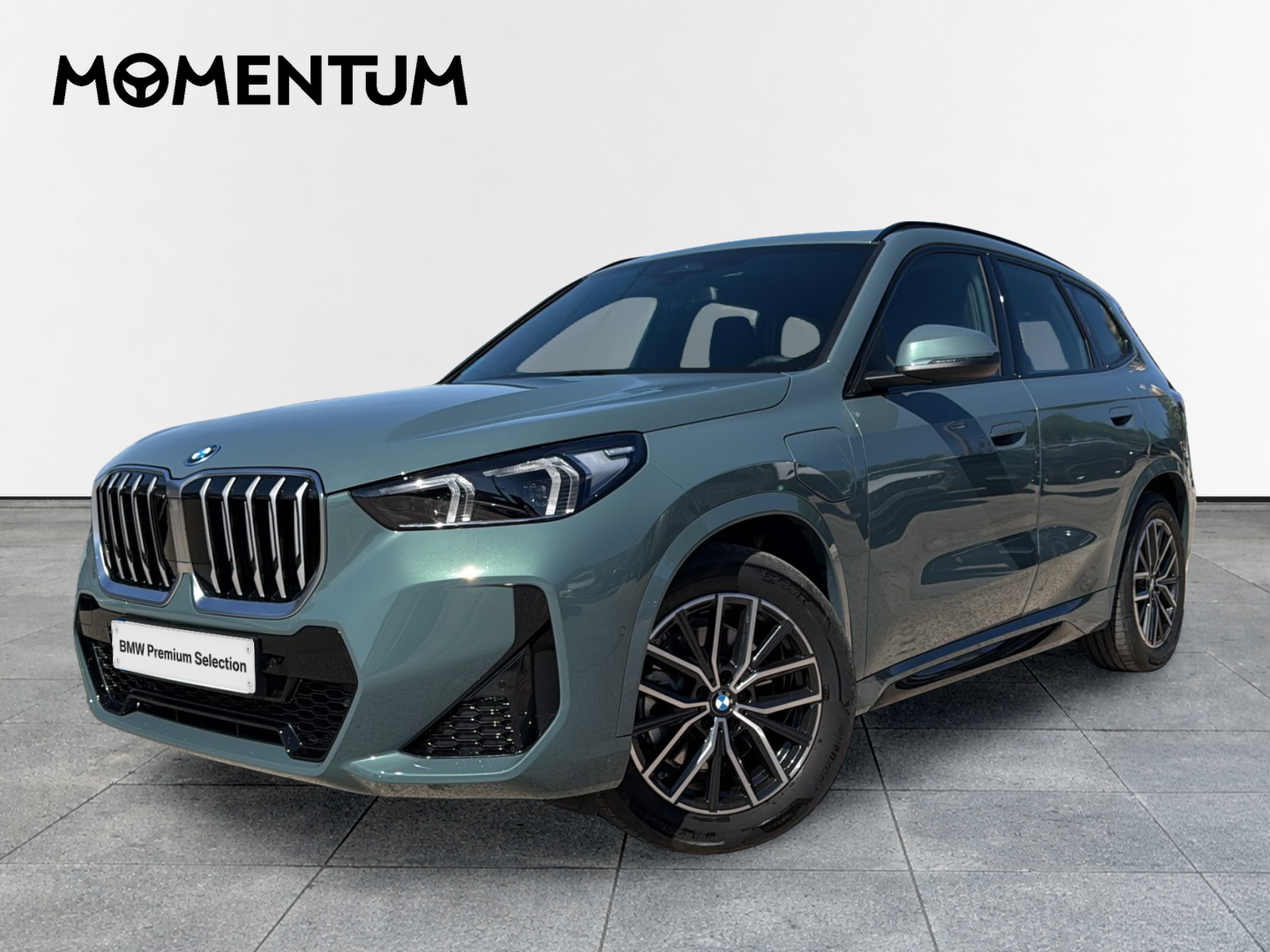 BMW X1 xDrive25e 180 kW (245 CV)