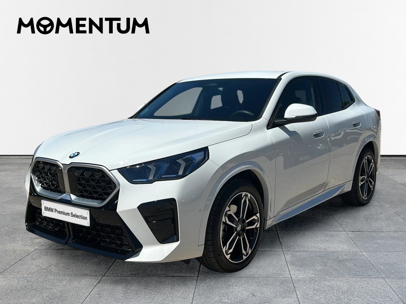 BMW X2 sDrive20d 120 kW (163 CV)