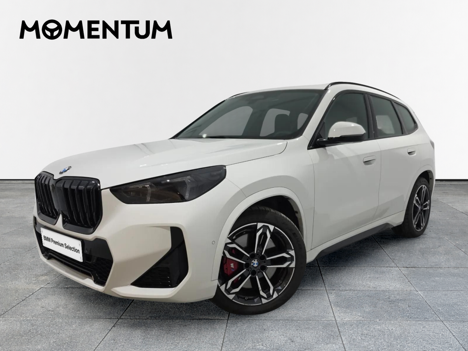 BMW X1 xDrive20d 120 kW (163 CV)