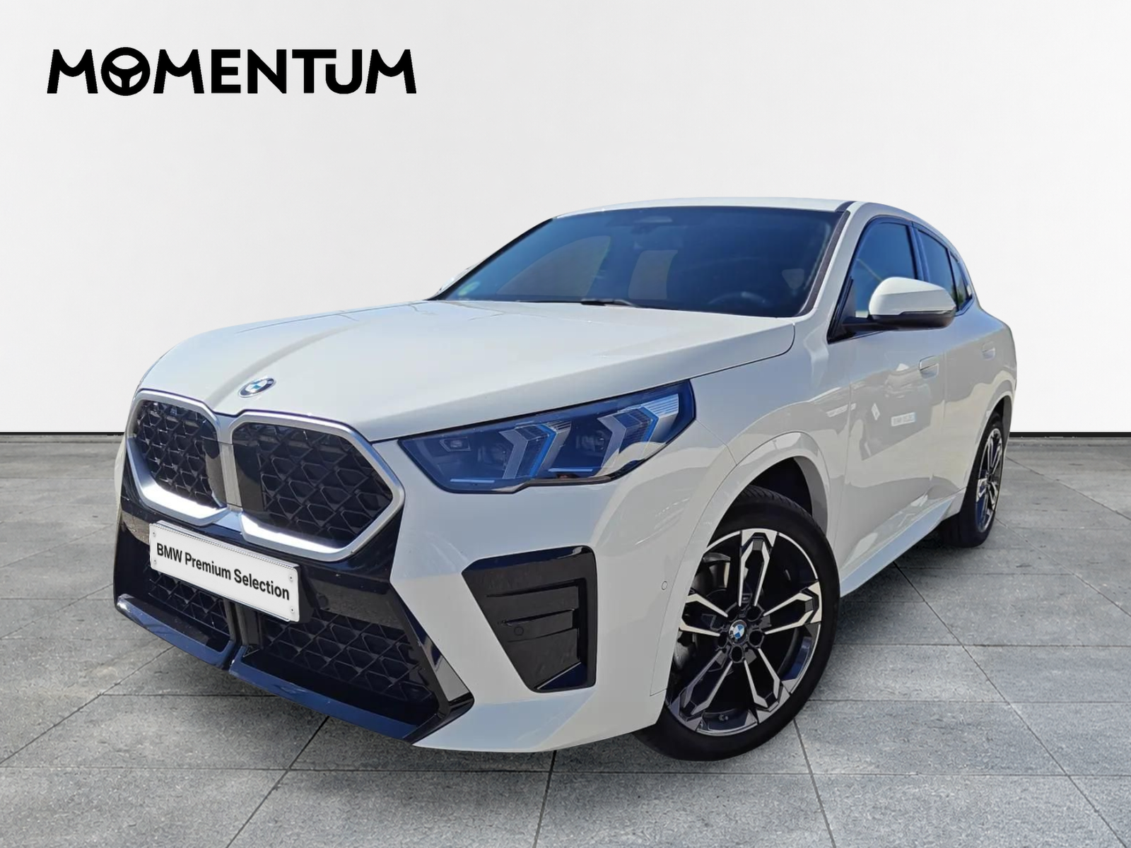 BMW X2 sDrive20d 120 kW (163 CV)