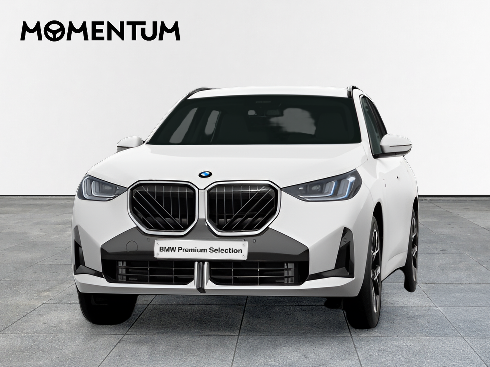 BMW X3 xDrive30e 220 kW (299 CV)