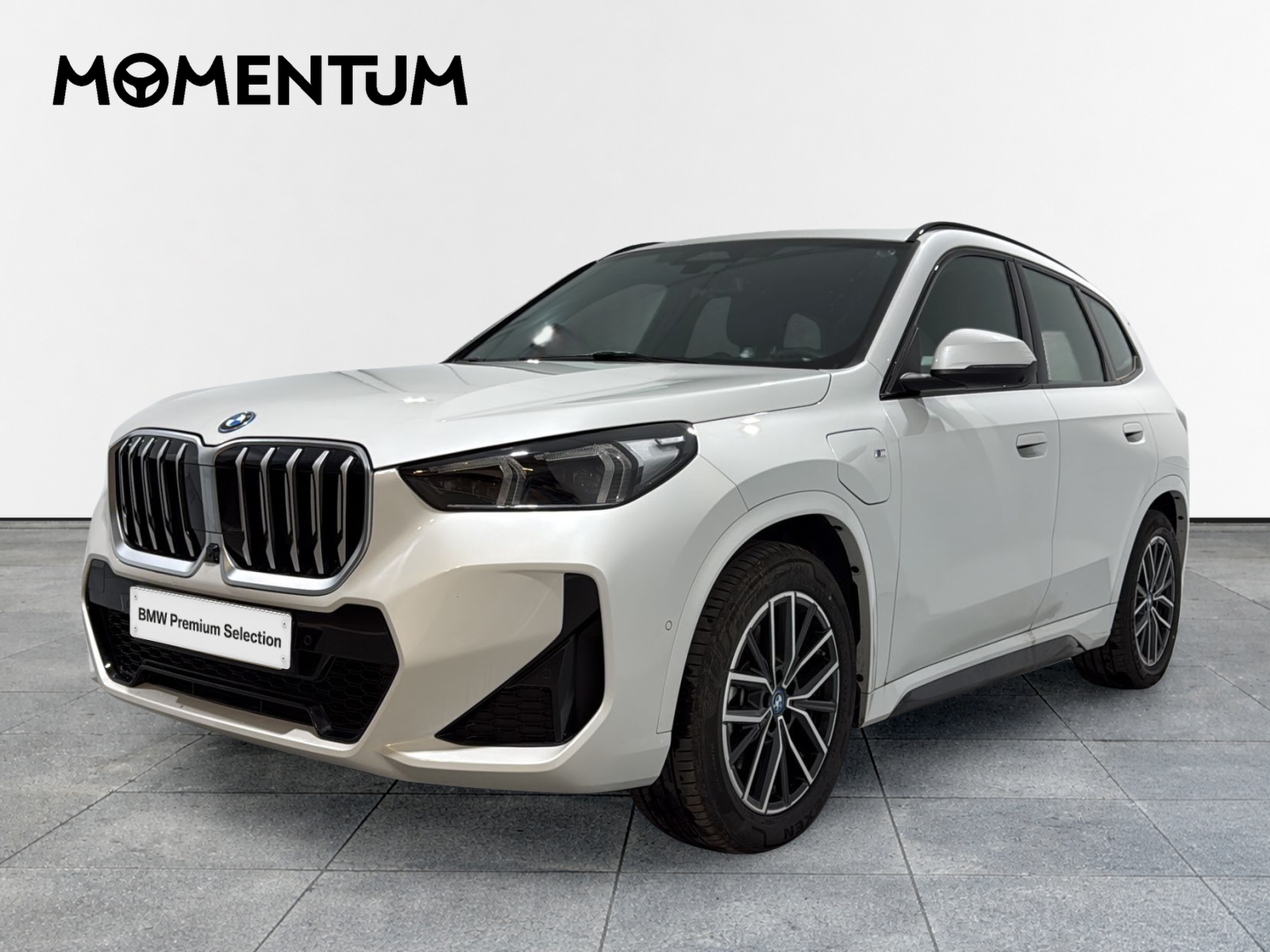 BMW X1 xDrive25e 180 kW (245 CV)