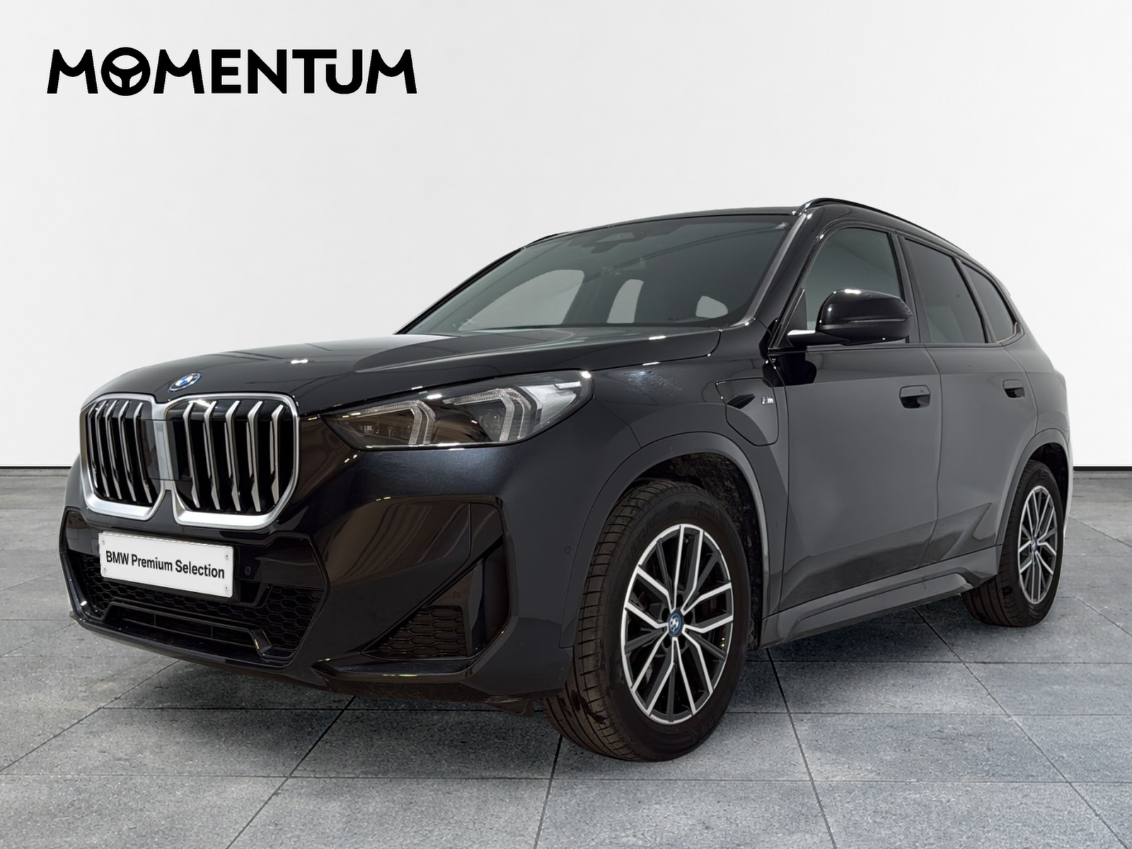 BMW X1 xDrive25e 180 kW (245 CV)