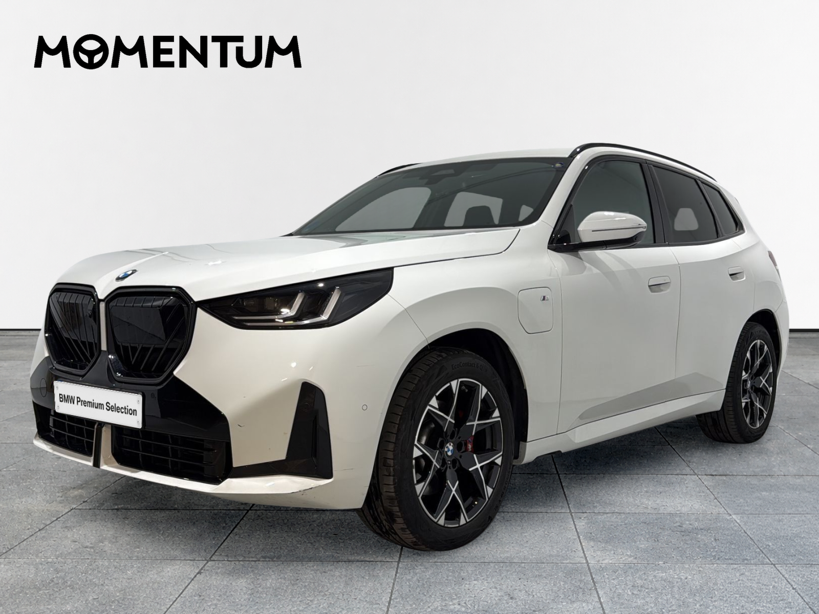 BMW X3 xDrive30e 220 kW (299 CV)