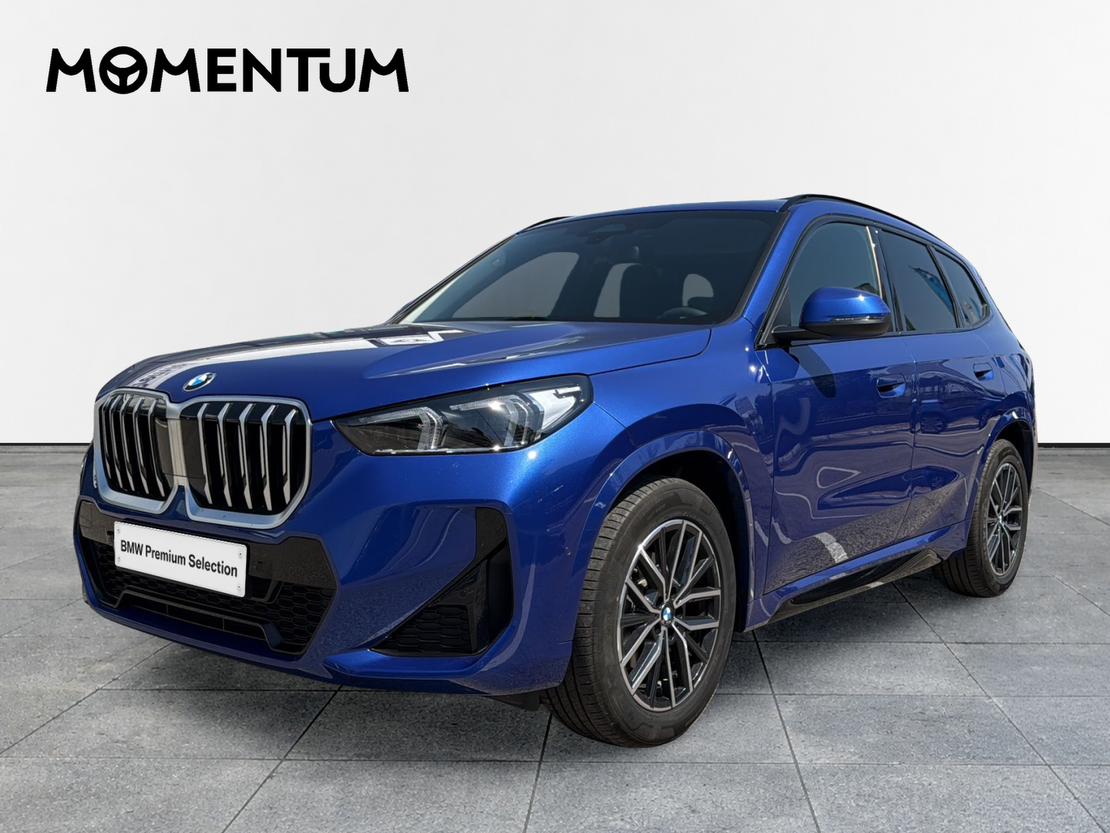 BMW X1 sDrive20d 120 kW (163 CV)
